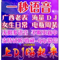至尊语音助手【正版授权】